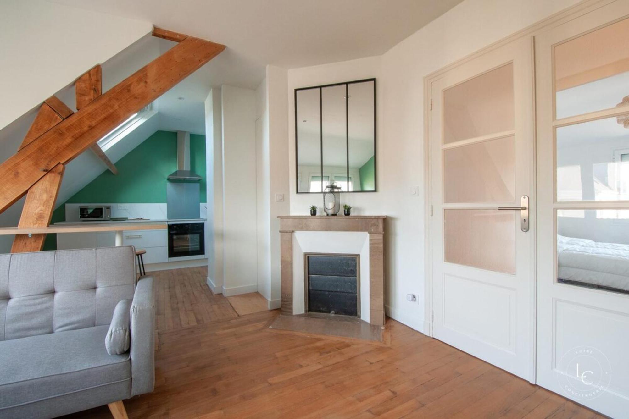 Bright 70M Apartment Near City Center & The Loire Orléans Extérieur photo